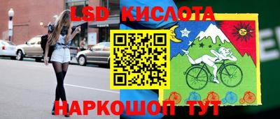 стаф Можга