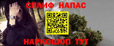 стаф Можга