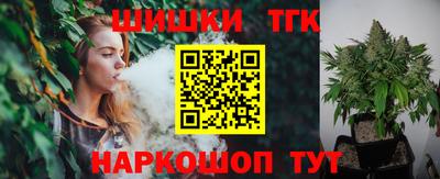 стаф Можга