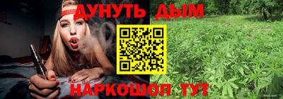 стаф Можга