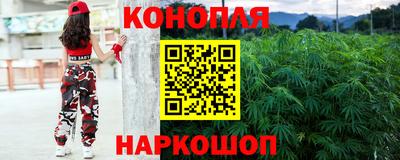 стаф Можга