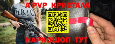 стаф Можга