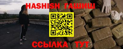 стаф Можга