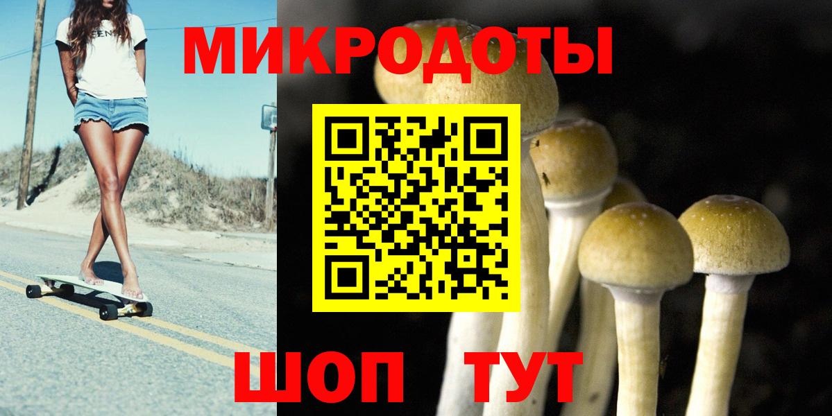 Галлюциногенные грибы прущие грибы Чебаркуль
