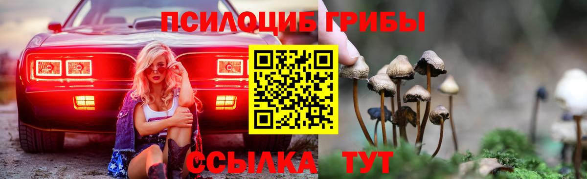 закладки  Вход с VPN  Чебаркуль  Галлюциногенные грибы Cubensis  Галлюциногенные грибы мицелий 